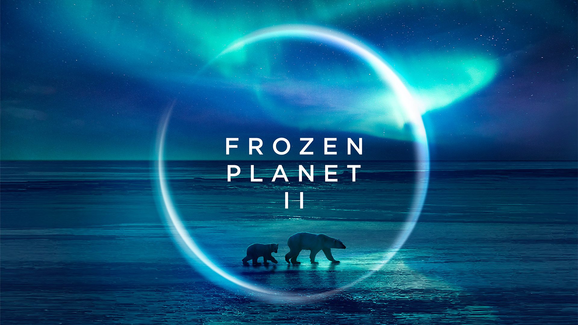 Frozen Planet II (έως S01E06)